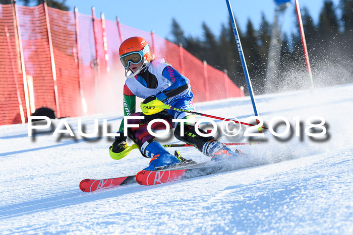 SVM U14/U16 Slalom 14.01.2018