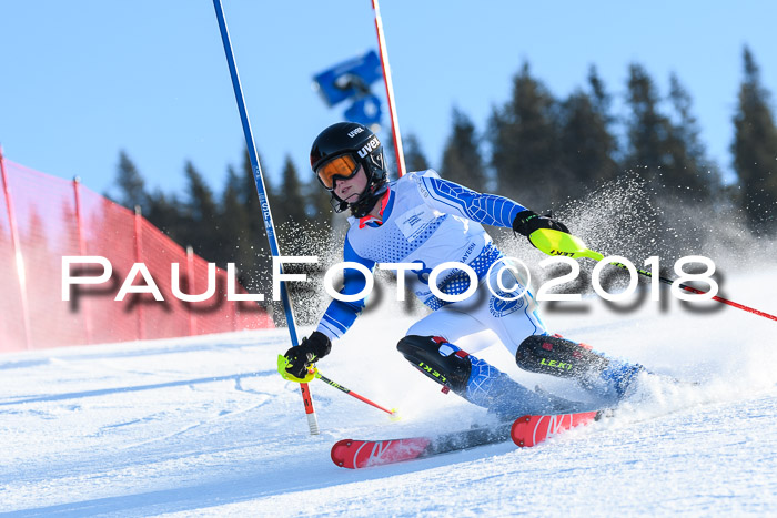 SVM U14/U16 Slalom 14.01.2018