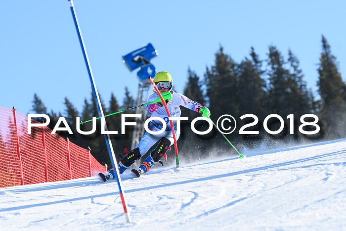 SVM U14/U16 Slalom 14.01.2018