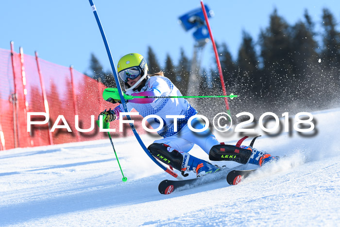 SVM U14/U16 Slalom 14.01.2018