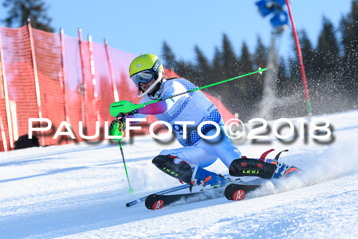 SVM U14/U16 Slalom 14.01.2018