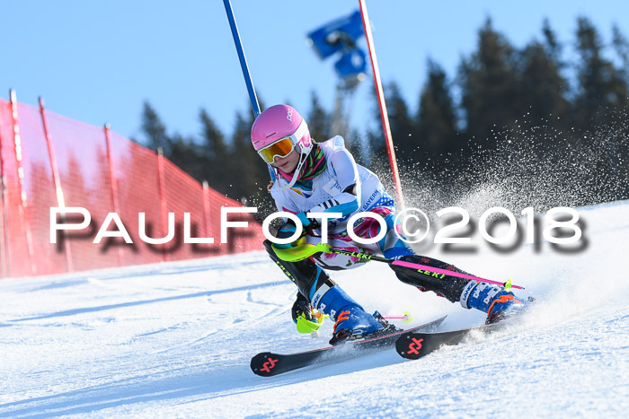 SVM U14/U16 Slalom 14.01.2018