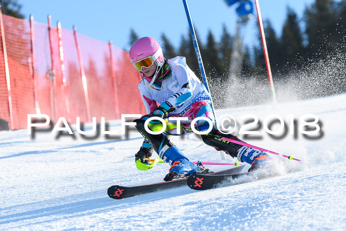 SVM U14/U16 Slalom 14.01.2018