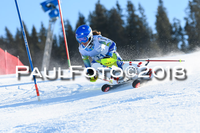 SVM U14/U16 Slalom 14.01.2018