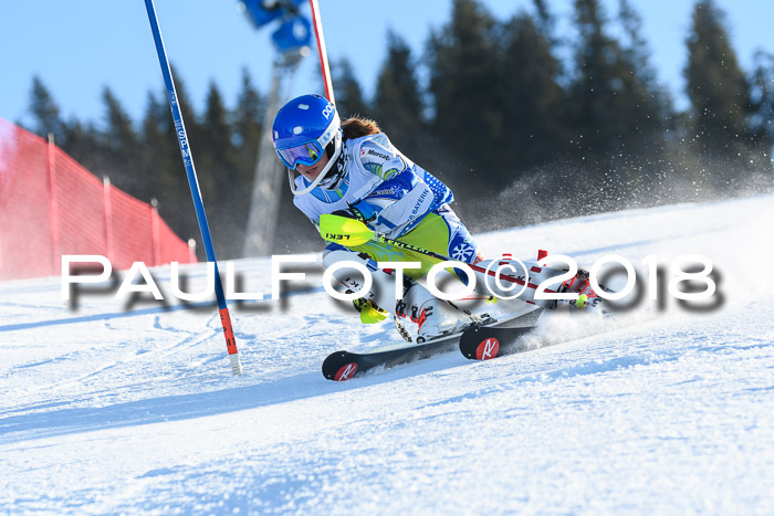 SVM U14/U16 Slalom 14.01.2018