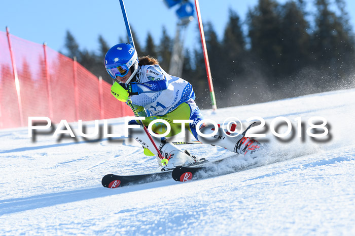 SVM U14/U16 Slalom 14.01.2018