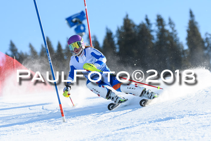 SVM U14/U16 Slalom 14.01.2018