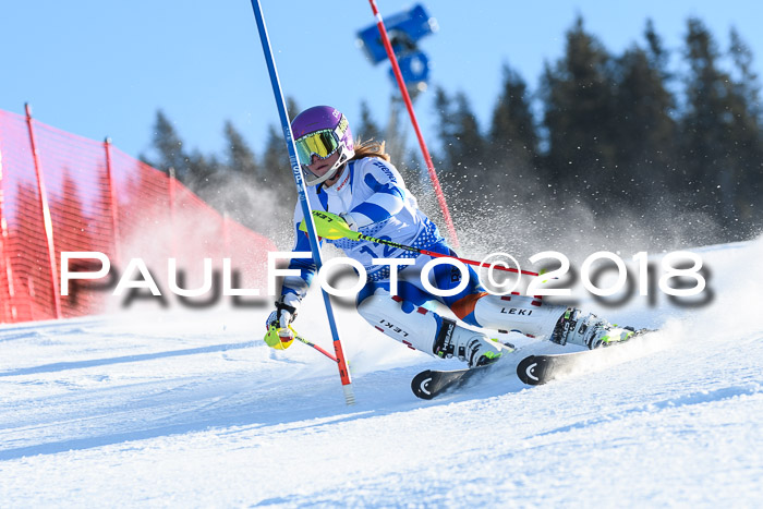 SVM U14/U16 Slalom 14.01.2018