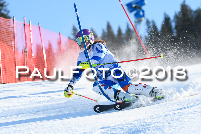 SVM U14/U16 Slalom 14.01.2018