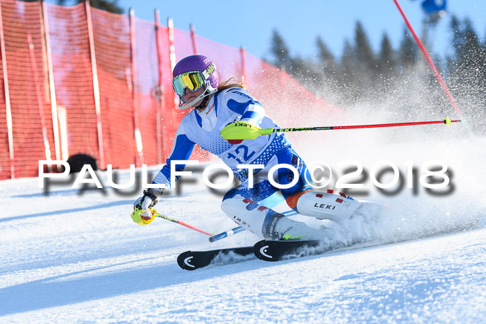 SVM U14/U16 Slalom 14.01.2018