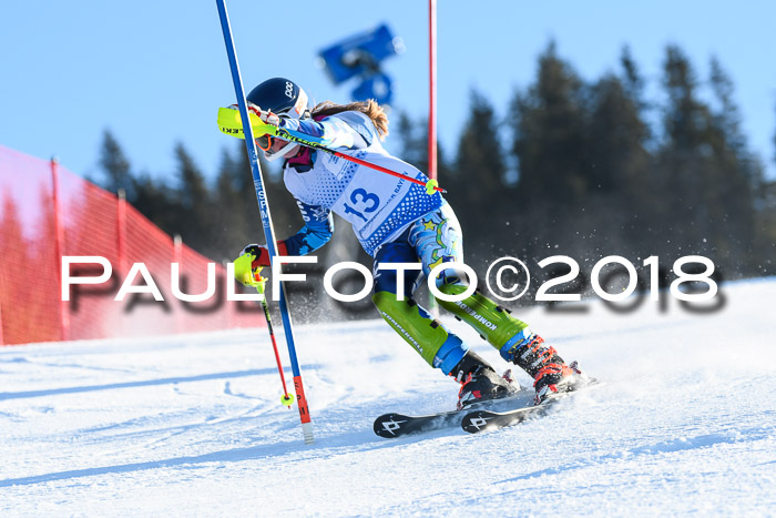 SVM U14/U16 Slalom 14.01.2018