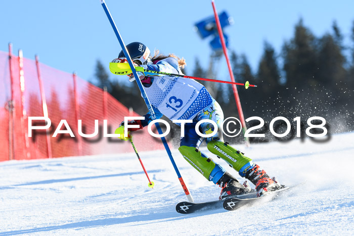 SVM U14/U16 Slalom 14.01.2018