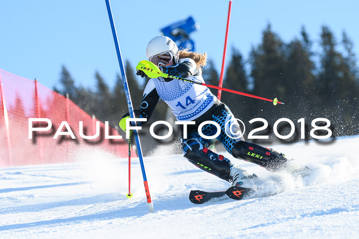 SVM U14/U16 Slalom 14.01.2018