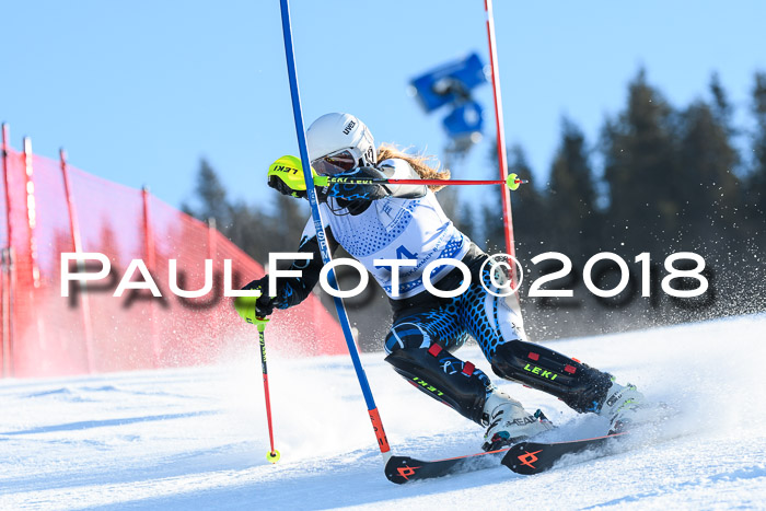 SVM U14/U16 Slalom 14.01.2018
