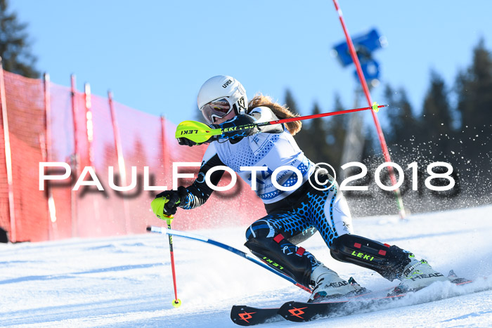 SVM U14/U16 Slalom 14.01.2018