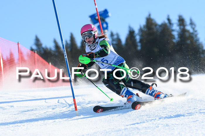 SVM U14/U16 Slalom 14.01.2018