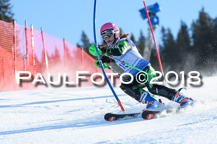 SVM U14/U16 Slalom 14.01.2018