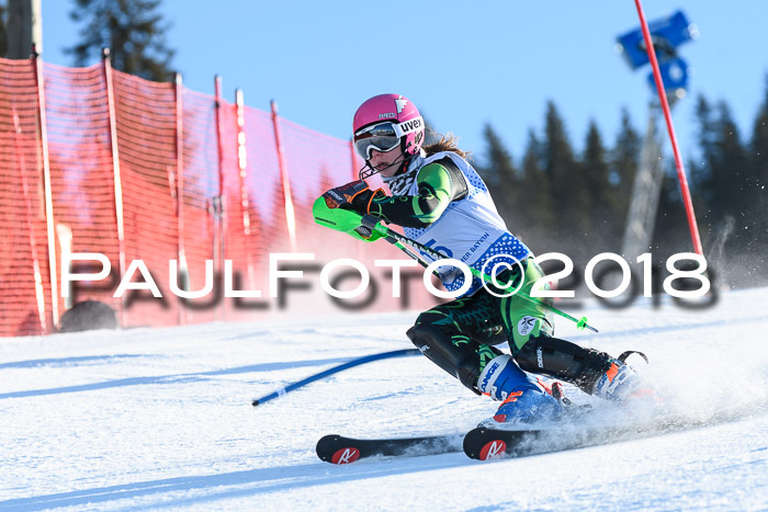SVM U14/U16 Slalom 14.01.2018