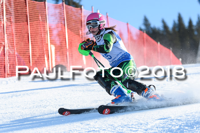 SVM U14/U16 Slalom 14.01.2018