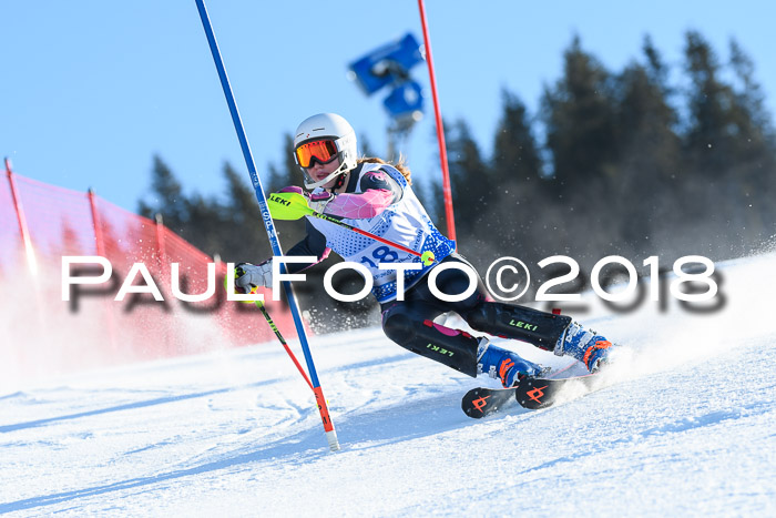 SVM U14/U16 Slalom 14.01.2018