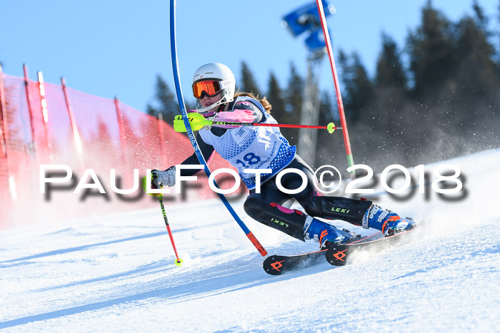 SVM U14/U16 Slalom 14.01.2018