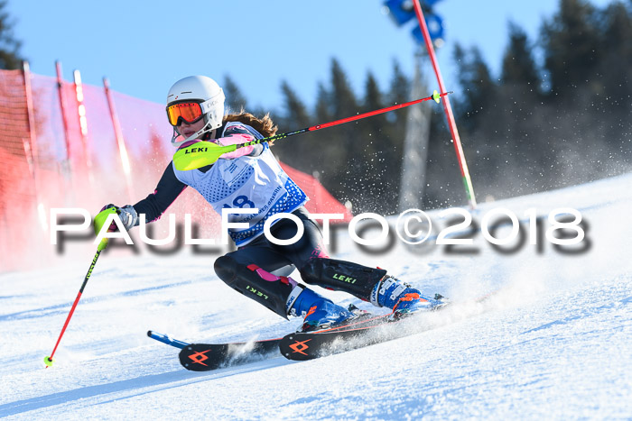 SVM U14/U16 Slalom 14.01.2018