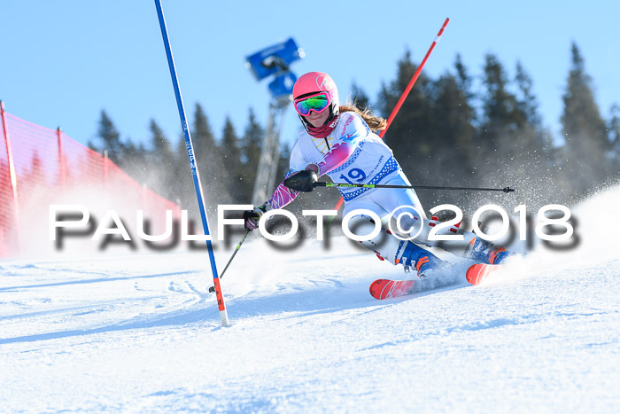 SVM U14/U16 Slalom 14.01.2018
