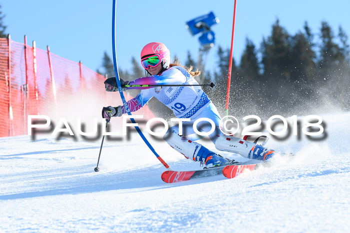 SVM U14/U16 Slalom 14.01.2018