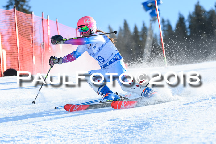 SVM U14/U16 Slalom 14.01.2018