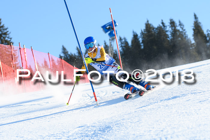 SVM U14/U16 Slalom 14.01.2018