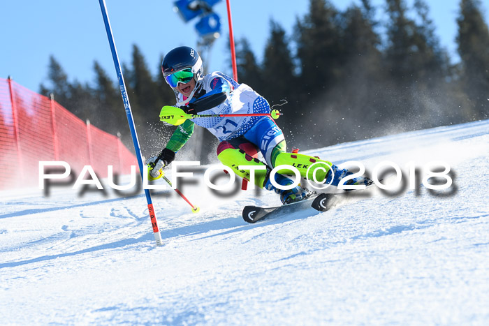 SVM U14/U16 Slalom 14.01.2018