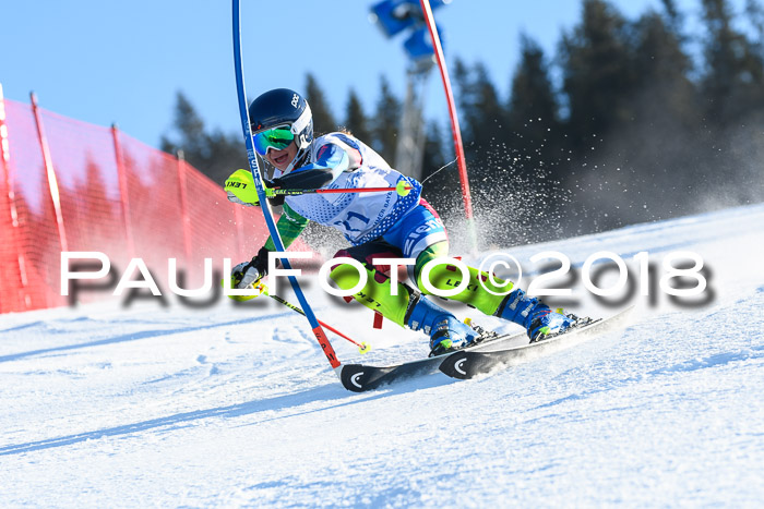 SVM U14/U16 Slalom 14.01.2018
