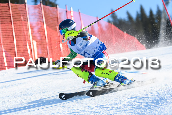 SVM U14/U16 Slalom 14.01.2018