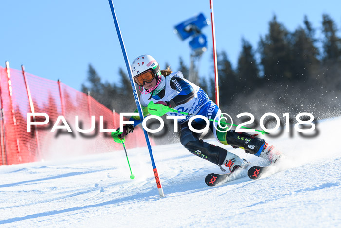 SVM U14/U16 Slalom 14.01.2018