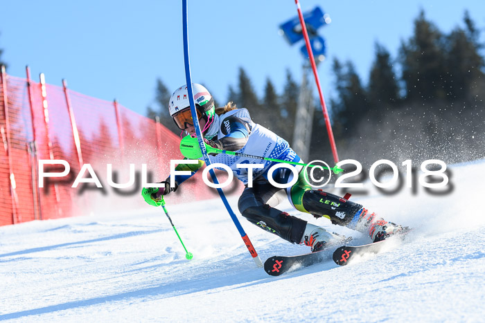 SVM U14/U16 Slalom 14.01.2018