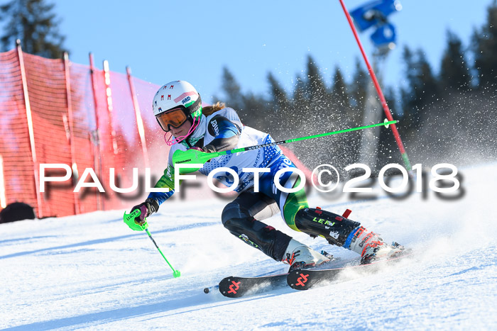 SVM U14/U16 Slalom 14.01.2018