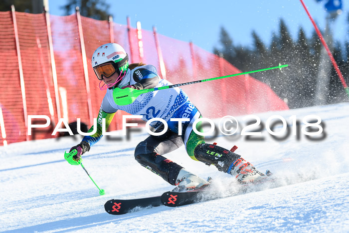 SVM U14/U16 Slalom 14.01.2018