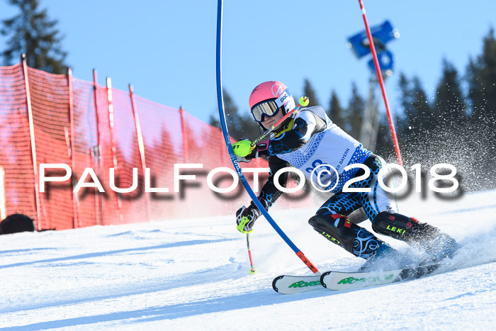 SVM U14/U16 Slalom 14.01.2018