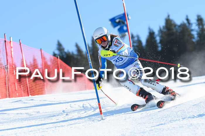 SVM U14/U16 Slalom 14.01.2018