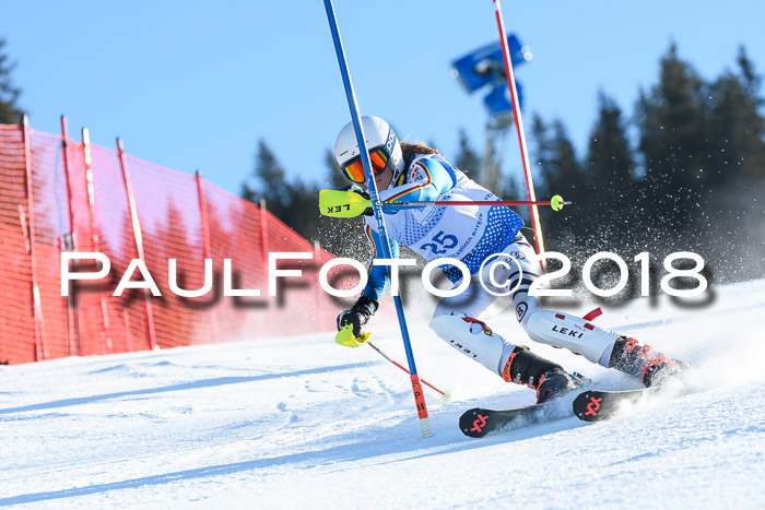 SVM U14/U16 Slalom 14.01.2018