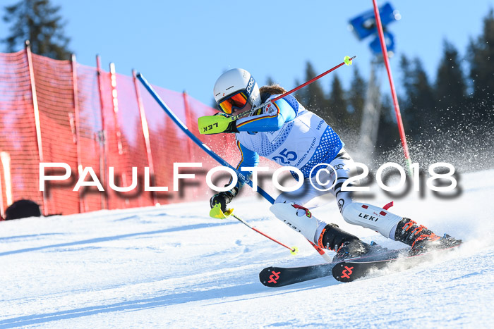 SVM U14/U16 Slalom 14.01.2018