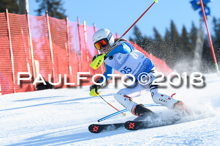SVM U14/U16 Slalom 14.01.2018