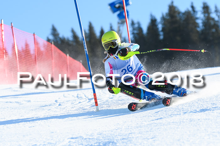 SVM U14/U16 Slalom 14.01.2018