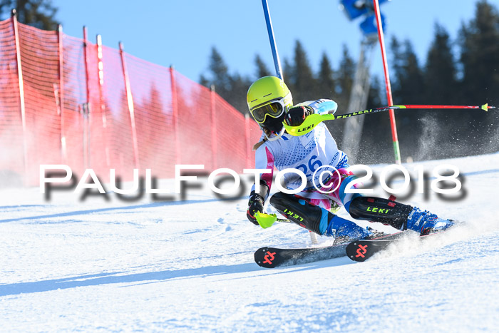 SVM U14/U16 Slalom 14.01.2018