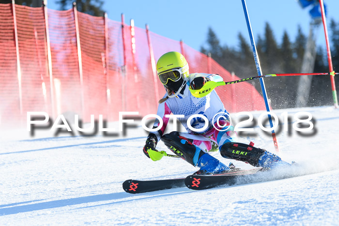 SVM U14/U16 Slalom 14.01.2018