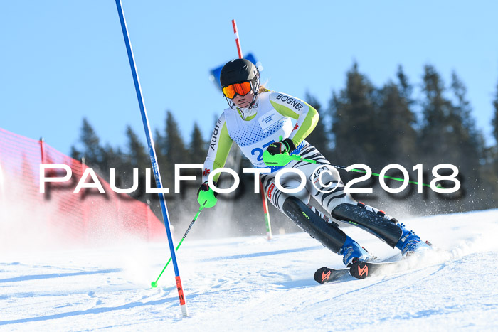 SVM U14/U16 Slalom 14.01.2018