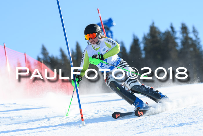 SVM U14/U16 Slalom 14.01.2018