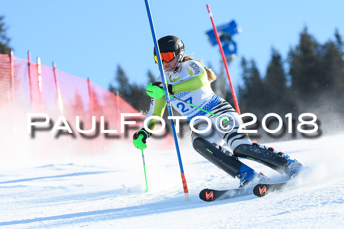 SVM U14/U16 Slalom 14.01.2018
