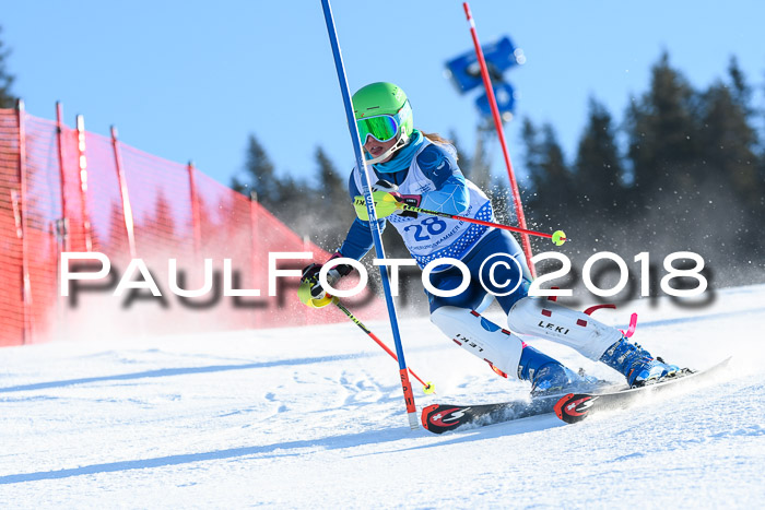SVM U14/U16 Slalom 14.01.2018