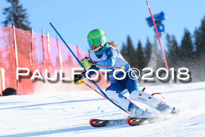 SVM U14/U16 Slalom 14.01.2018